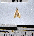  ( - YB-BCI38110)  @12 [ ] No Rights Reserved  Unspecified Unspecified