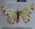  ( - YB-BCI52189)  @13 [ ] No Rights Reserved  Unspecified Unspecified