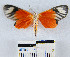  ( - YB-BCI14809)  @12 [ ] No Rights Reserved  Unspecified Unspecified