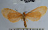  ( - YB-BCI47251)  @13 [ ] No Rights Reserved  Unspecified Unspecified
