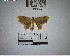 ( - YB-BCI193564)  @11 [ ] No Rights Reserved  Unspecified Unspecified