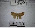  ( - YB-BCI182663)  @11 [ ] No Rights Reserved  Unspecified Unspecified