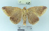  ( - YB-BCI3624)  @11 [ ] No Rights Reserved  Unspecified Unspecified