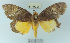  ( - YB-BCI23099)  @11 [ ] No Rights Reserved  Unspecified Unspecified