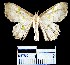  ( - YB-BCI17776)  @13 [ ] No Rights Reserved  Unspecified Unspecified