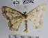  ( - YB-BCI20292)  @13 [ ] No Rights Reserved  Unspecified Unspecified
