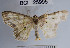  ( - YB-BCI25995)  @13 [ ] No Rights Reserved  Unspecified Unspecified