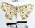  ( - YB-BCI40990)  @14 [ ] No Rights Reserved  Unspecified Unspecified