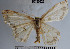  ( - YB-BCI55020)  @12 [ ] No Rights Reserved  Unspecified Unspecified