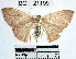  ( - YB-BCI21199)  @13 [ ] No Rights Reserved  Unspecified Unspecified