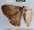  ( - YB-BCI37928)  @12 [ ] No Rights Reserved  Unspecified Unspecified