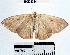  ( - YB-BCI38334)  @13 [ ] No Rights Reserved  Unspecified Unspecified