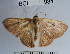  ( - YB-BCI984)  @12 [ ] No Rights Reserved  Unspecified Unspecified