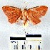  ( - YB-BCI17359)  @13 [ ] No Rights Reserved  Unspecified Unspecified