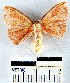  ( - YB-BCI17926)  @13 [ ] No Rights Reserved  Unspecified Unspecified