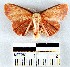  ( - YB-BCI22175)  @13 [ ] No Rights Reserved  Unspecified Unspecified