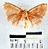  ( - YB-BCI22275)  @13 [ ] No Rights Reserved  Unspecified Unspecified