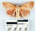  ( - YB-BCI23411)  @13 [ ] No Rights Reserved  Unspecified Unspecified