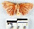  ( - YB-BCI23600)  @13 [ ] No Rights Reserved  Unspecified Unspecified