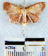  ( - YB-BCI22993)  @12 [ ] No Rights Reserved  Unspecified Unspecified