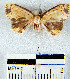  ( - YB-BCI21922)  @13 [ ] No Rights Reserved  Unspecified Unspecified
