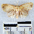  ( - YB-BCI21948)  @13 [ ] No Rights Reserved  Unspecified Unspecified