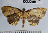  ( - YB-BCI30608)  @11 [ ] No Rights Reserved  Unspecified Unspecified