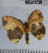  ( - YB-BCI31728)  @13 [ ] No Rights Reserved  Unspecified Unspecified