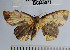  ( - YB-BCI45071)  @13 [ ] No Rights Reserved  Unspecified Unspecified