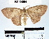  ( - YB-BCI34094)  @12 [ ] No Rights Reserved  Unspecified Unspecified