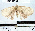  ( - YB-BCI39334)  @12 [ ] No Rights Reserved  Unspecified Unspecified