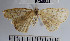  ( - YB-BCI45841)  @11 [ ] No Rights Reserved  Unspecified Unspecified