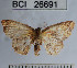  ( - YB-BCI26691)  @11 [ ] No Rights Reserved  Unspecified Unspecified