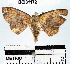  ( - YB-bci31172)  @13 [ ] No Rights Reserved  Unspecified Unspecified
