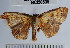  ( - YB-BCI50535)  @13 [ ] No Rights Reserved  Unspecified Unspecified
