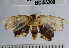  ( - YB-BCI55209)  @13 [ ] No Rights Reserved  Unspecified Unspecified