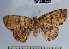 ( - YB-BCI30259)  @11 [ ] No Rights Reserved  Unspecified Unspecified