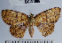  ( - YB-BCI31806)  @11 [ ] No Rights Reserved  Unspecified Unspecified