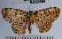  ( - YB-BCI33590)  @11 [ ] No Rights Reserved  Unspecified Unspecified
