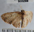 ( - YB-BCI52599)  @12 [ ] No Rights Reserved  Unspecified Unspecified