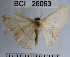  ( - YB-BCI26063)  @12 [ ] No Rights Reserved  Unspecified Unspecified