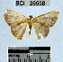  ( - YB-BCI26558)  @12 [ ] No Rights Reserved  Unspecified Unspecified