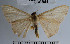  ( - YB-BCI32866)  @13 [ ] No Rights Reserved  Unspecified Unspecified