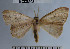  ( - YB-BCI36905)  @13 [ ] No Rights Reserved  Unspecified Unspecified