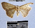  ( - YB-BCI37725)  @13 [ ] No Rights Reserved  Unspecified Unspecified