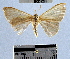  ( - YB-BCI39295)  @11 [ ] No Rights Reserved  Unspecified Unspecified