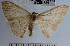  ( - YB-BCI51851)  @12 [ ] No Rights Reserved  Unspecified Unspecified