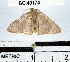  ( - YB-BCI40174)  @12 [ ] No Rights Reserved  Unspecified Unspecified