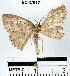  ( - YB-BCI37612)  @11 [ ] No Rights Reserved  Unspecified Unspecified