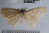  ( - YB-BCI52829)  @14 [ ] No Rights Reserved  Unspecified Unspecified